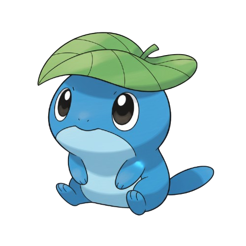 aquapip